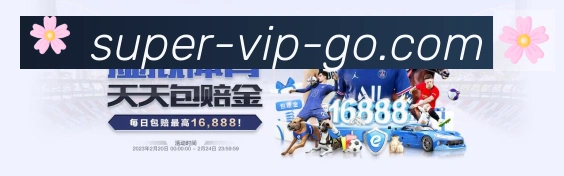 体育数据展示